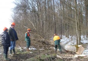 osposobljavanje-za-rad-s-prijenosnom-lancanom-pilom